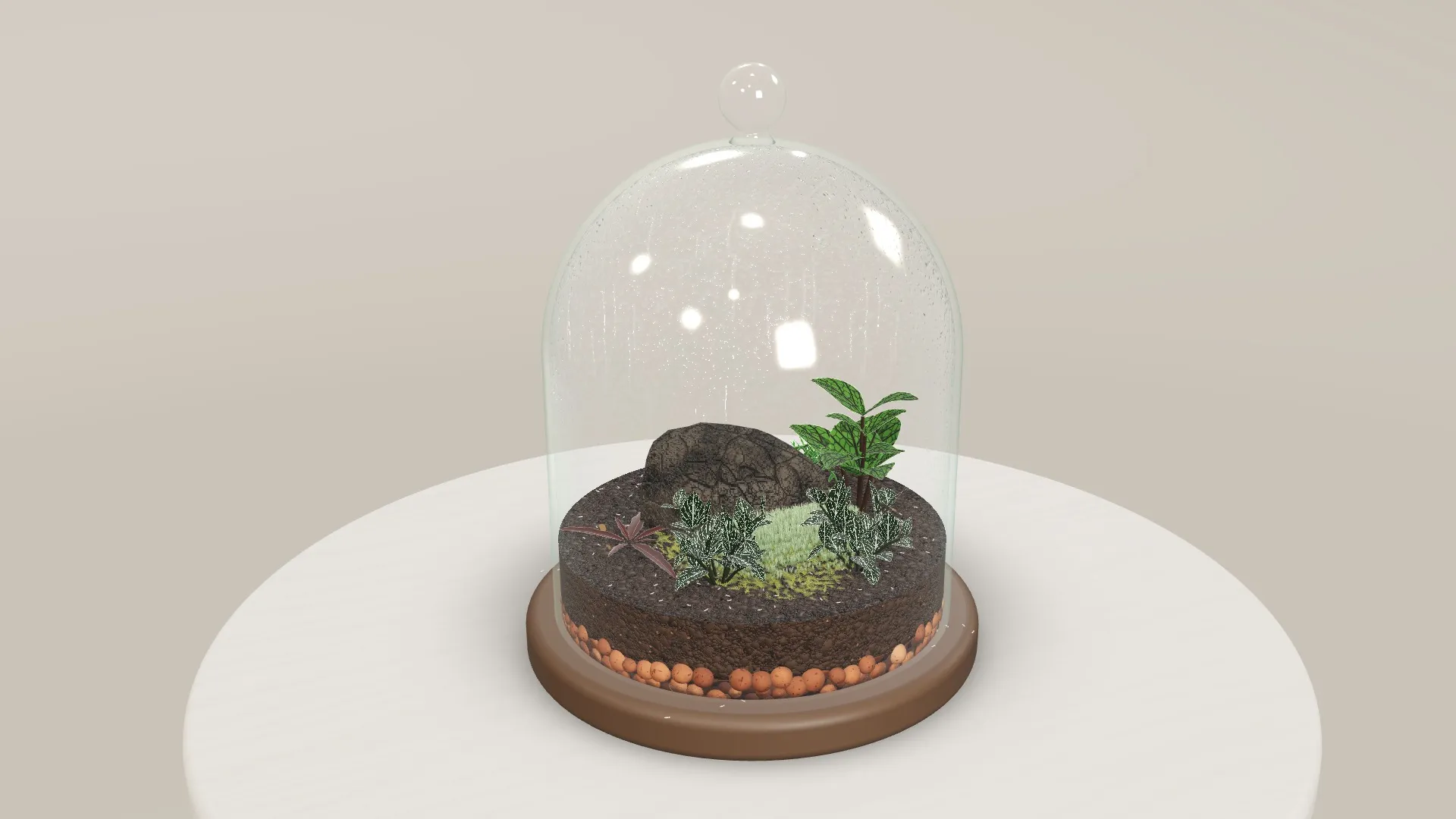 A glass cloche terrarium of nerve plants, moss and a stone, rendered in Glass Jar Garden